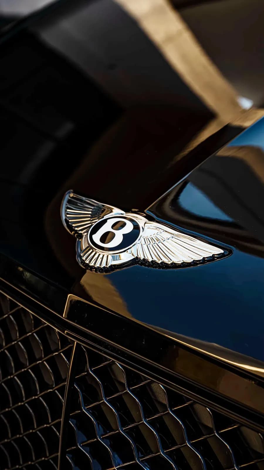 Emblema e grade de SUV de luxo com PPF